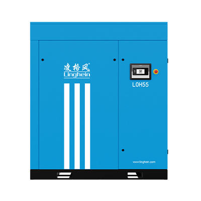 LSV 系列變頻螺桿空壓機(jī)